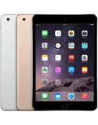 iPad Mini