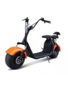 Elektriniai paspirtukai EKORIDE